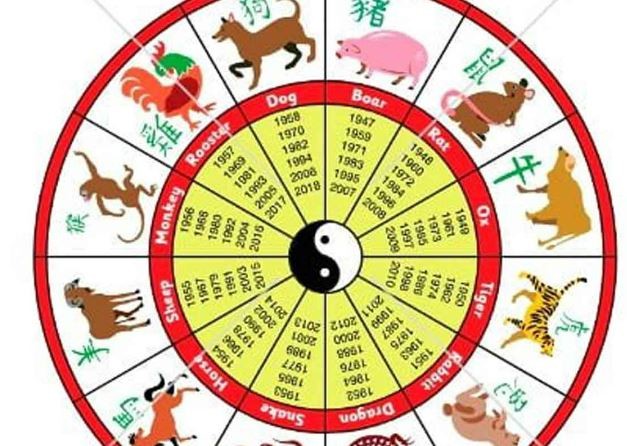 SHIO MONYET DI TAHUN 2024, Harus fokus pada kekuatan mereka