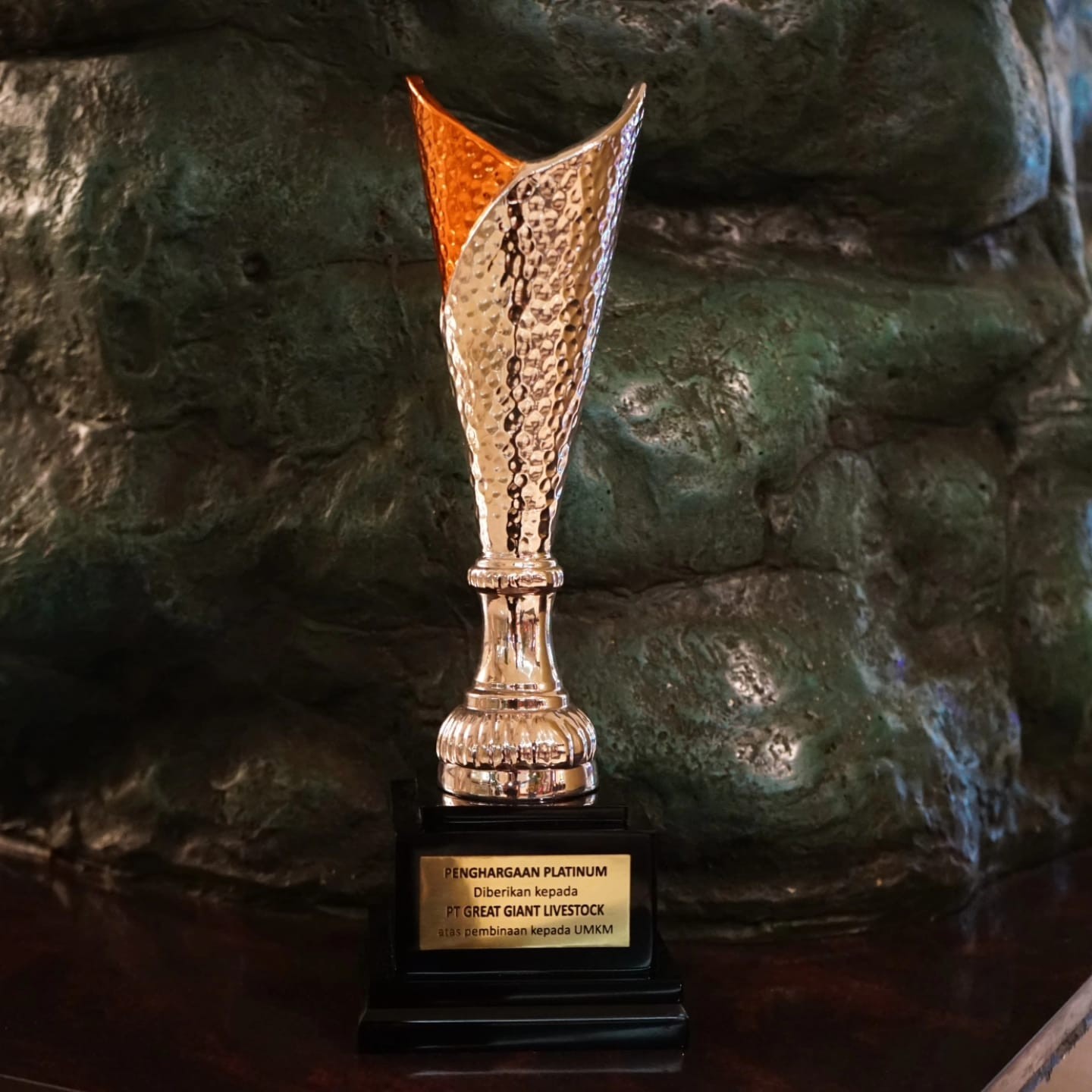 Pengobatan Alat Vital Lampung Ahlinya Hanya Bpk Sahrudin 