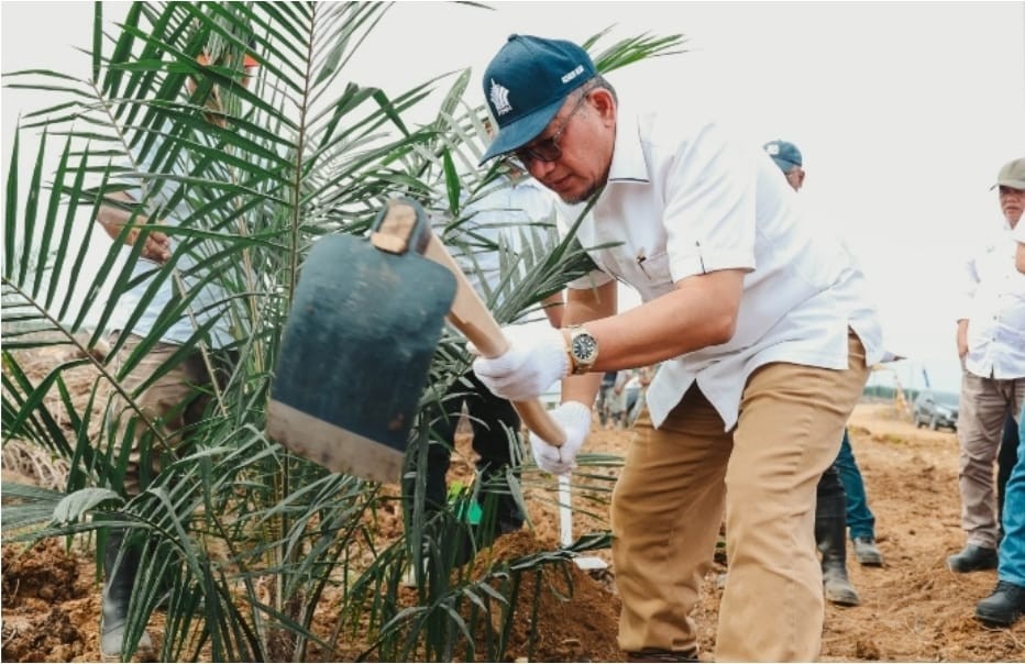 Perkuat Asta Cita, Holding Perkebunan Nusantara Melalui PTPN IV Regional III Remajakan 949,6 Ha Sawi