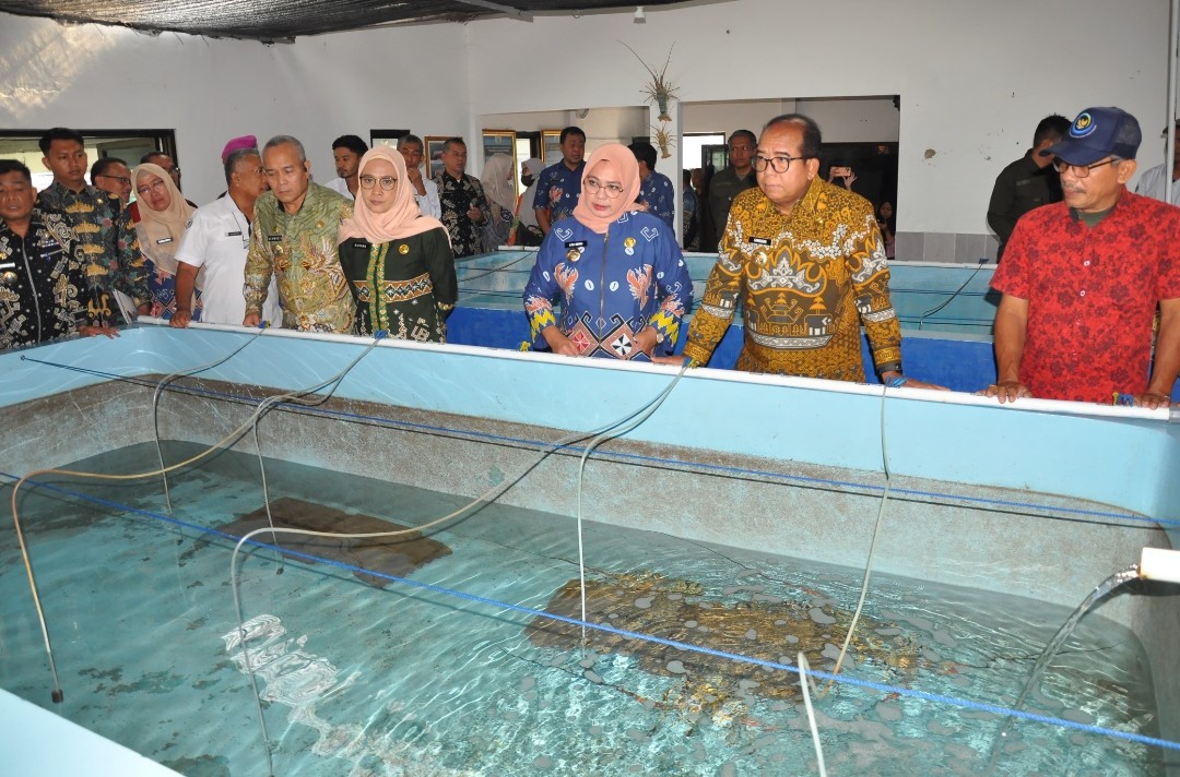 Pj. Gubernur Lampung Buka FGD Optimalisasi Pengelolaan Benih Bening Lobster 