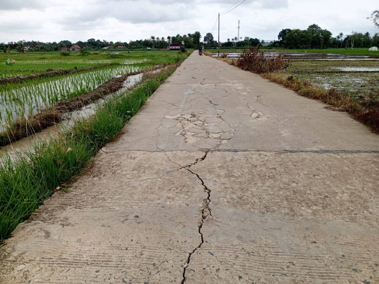 Banyak Proyek Gagal di Lampung Selatan, Anggota Komisi III DPRD : Ini Parah Ini Kak!