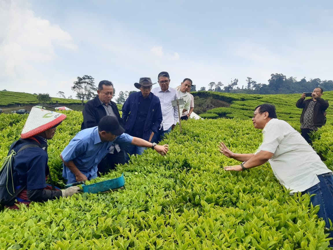 Dekom PTPN III: \"Optimalkan Teknologi untuk Kejar Produksi!\"