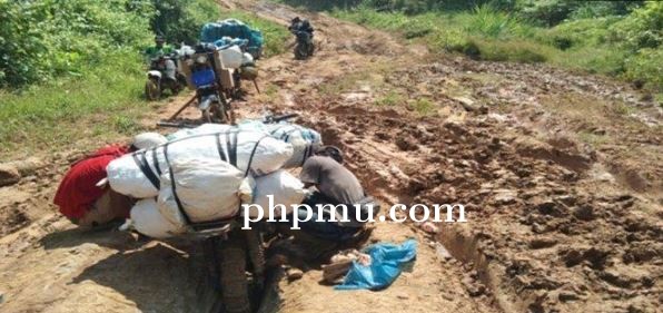 Desa Way Haru Jalan Berlumpur dan Tak Ada Listrik Sejak 1814, Tokoh Adat : Pak Presiden Bantu Kami